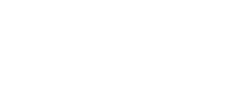 weddingwire logo white